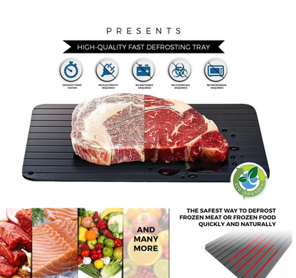 Defrosta Rapid Defrosting Tray For Frozen Meat